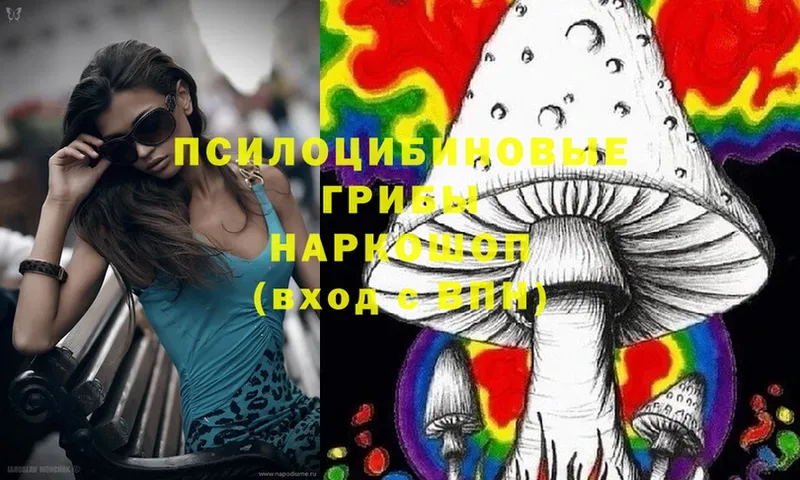 Псилоцибиновые грибы MAGIC MUSHROOMS  где купить наркоту  Ипатово 